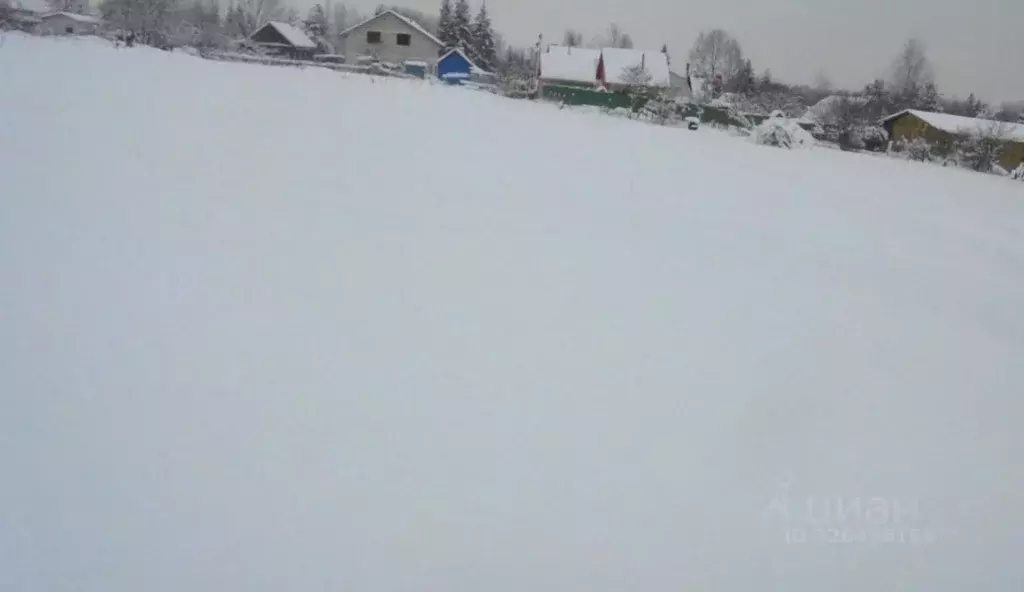 Участок в Московская область, Дмитровский муниципальный округ, с. ... - Фото 1