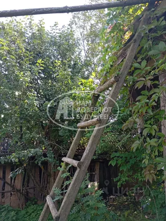 Участок в Удмуртия, Глазовский район, д. Адам Восточная ул., 15 (22.0 ... - Фото 2