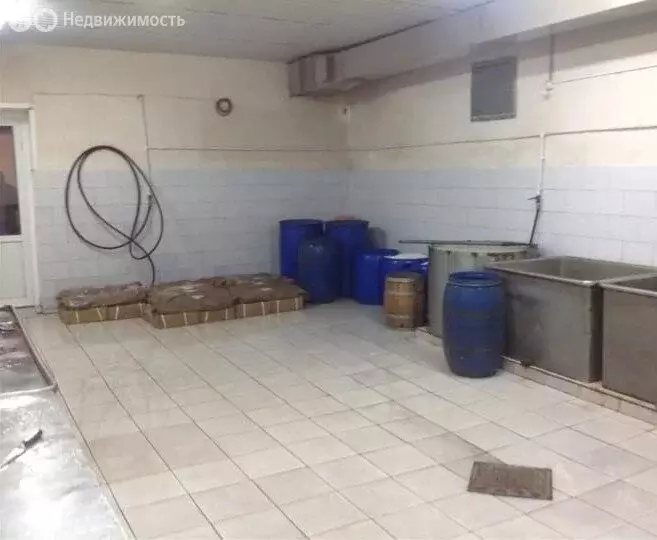 Помещение свободного назначения (648 м) - Фото 0