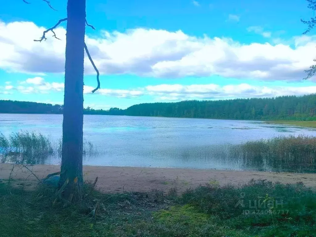 Участок в Карелия, Олонецкий район, Коверское с/пос, д. Нурмолицы  ... - Фото 2