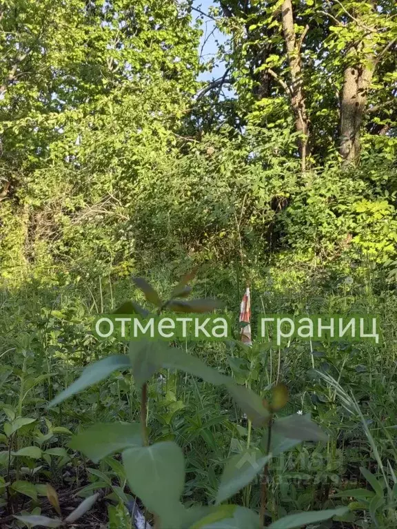 Участок в Самарская область, Жигулевск городской округ, с. Бахилова ... - Фото 2