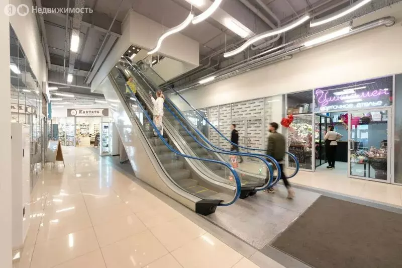 Торговая площадь (24.4 м) - Фото 2