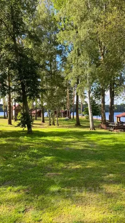 Дом в Ленинградская область, Выборгский район, Приморское городское ... - Фото 1