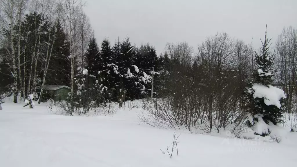 Участок в Московская область, Рузский муниципальный округ, д. Верхнее ... - Фото 1
