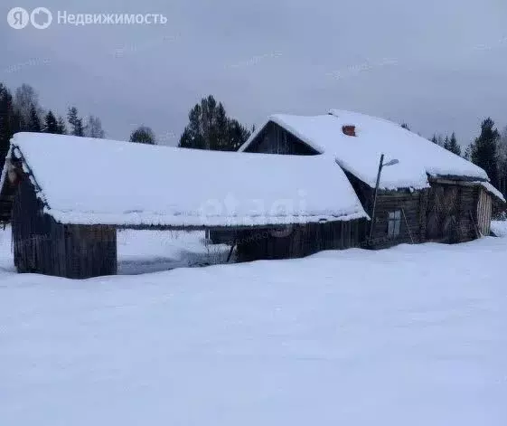 Участок в Вологодская область, Никольский муниципальный округ, посёлок ... - Фото 1