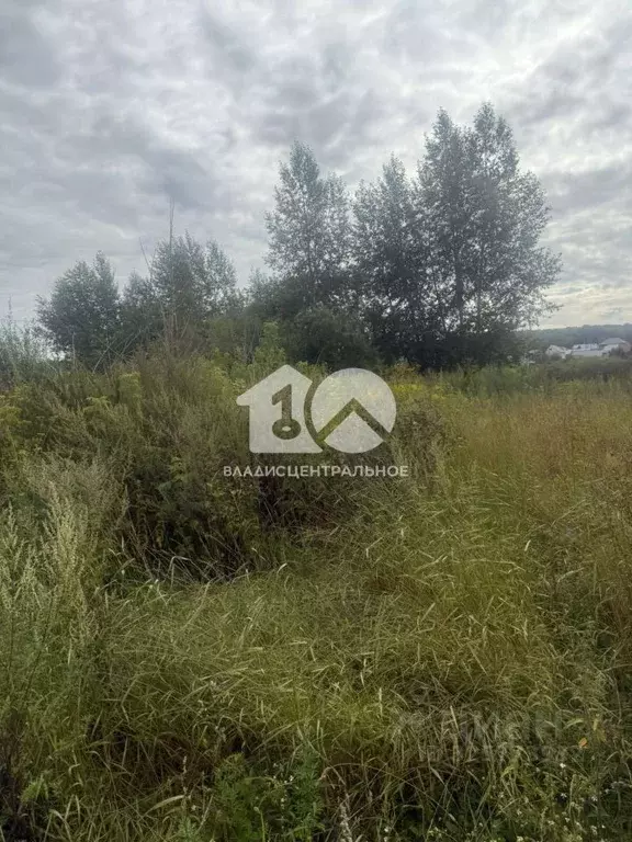 Участок в Новосибирская область, Новосибирск 5-я Рабочая ул. (9.0 ... - Фото 2