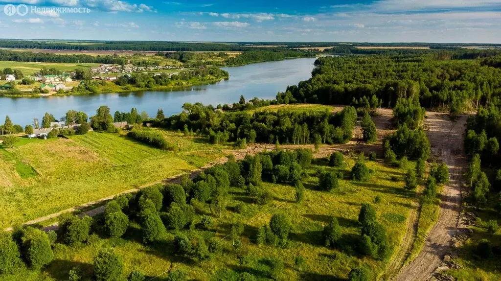Участок в Брянская область, Жуковский муниципальный округ, село ... - Фото 1