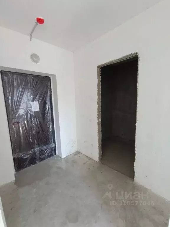 1-к кв. Омская область, Омск ул. Кирова, 51 (35.3 м) - Фото 1