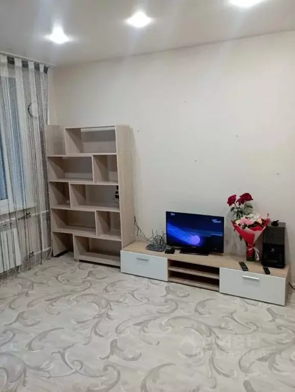 Студия Новосибирская область, Новосибирск ул. Петухова, 101/1 (25.7 м) - Фото 0