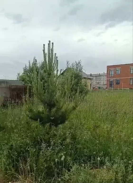 Участок в Владимирская область, Владимир ул. Рождественская, 22 (8.4 ... - Фото 0