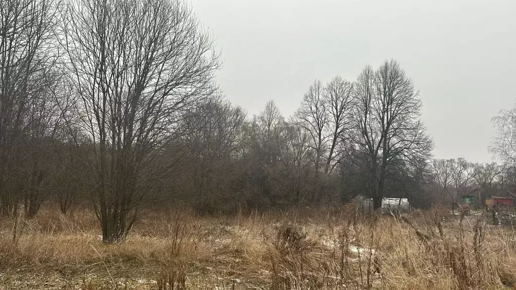 Участок в Московская область, Ступино городской округ, д. Дворяниново  ... - Фото 0