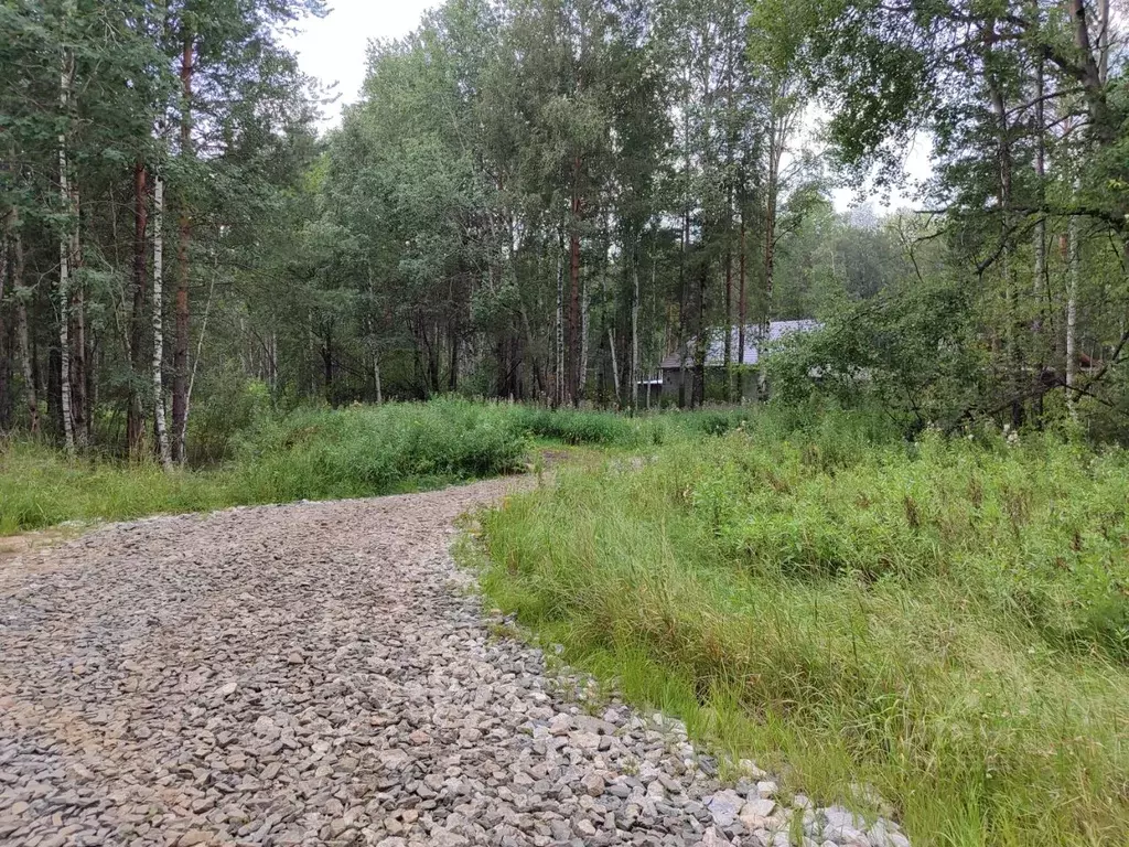 Участок в Свердловская область, Белоярский муниципальный округ, ... - Фото 0