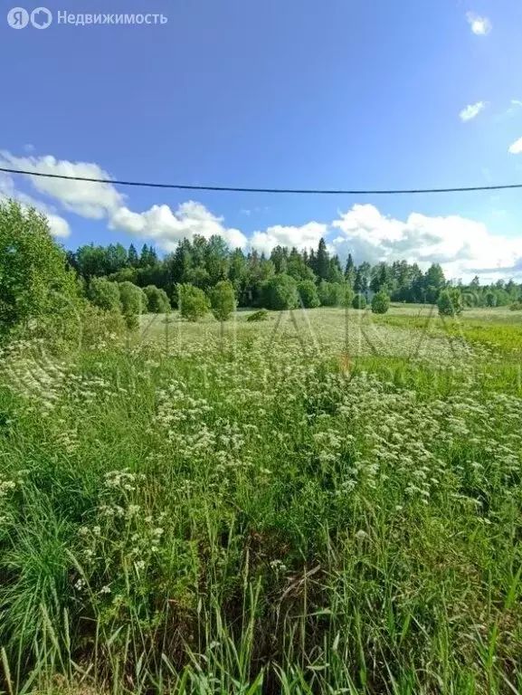 Участок в Выборгский район, посёлок Селезнёво (50 м) - Фото 0