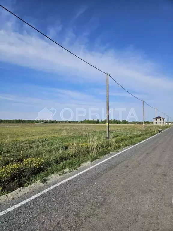 Участок в Тюменская область, Тюменский муниципальный округ, д. Елань ... - Фото 2