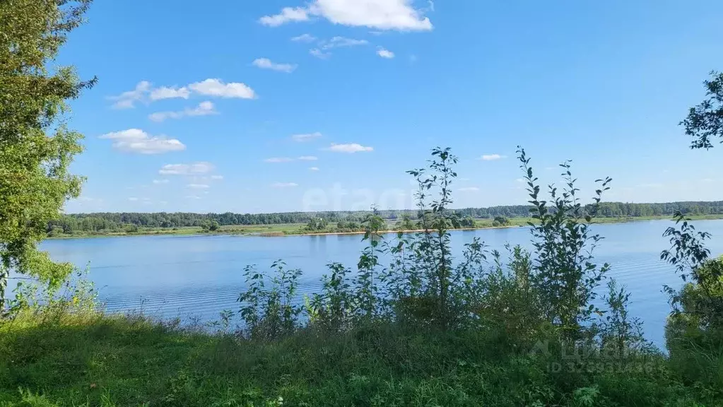 Участок в Ярославская область, Мышкинский муниципальный округ, с. ... - Фото 1