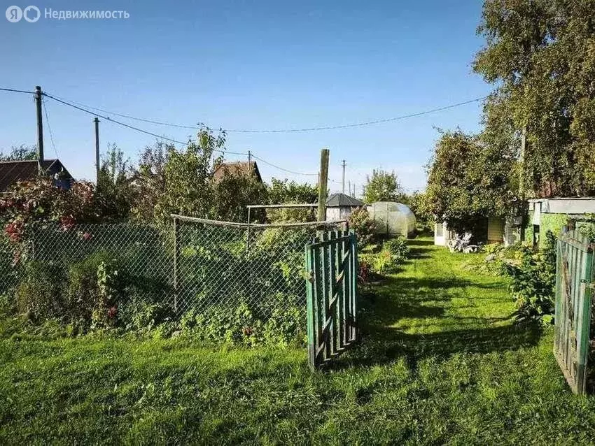 Дом в Великий Новгород, СТ Одуванчик, 103 (25 м) - Фото 2