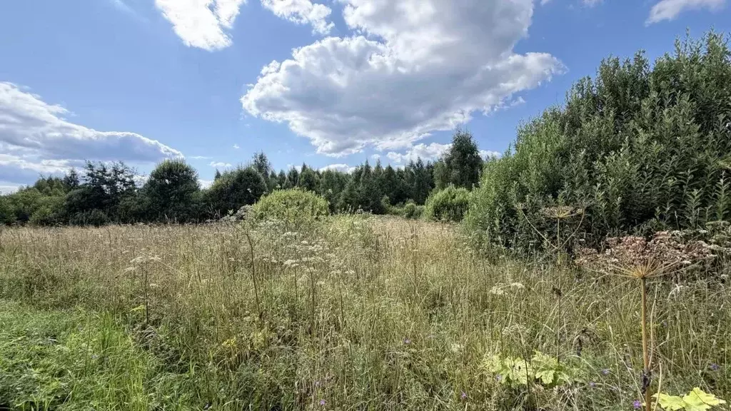 Участок в Московская область, Истра ул. Ленина, Река Истра (17.69 ... - Фото 2