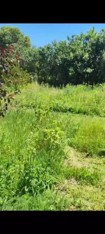 Участок в Адыгея, Майкопский район, Даховское с/пос, с. Хамышки ул. ... - Фото 2