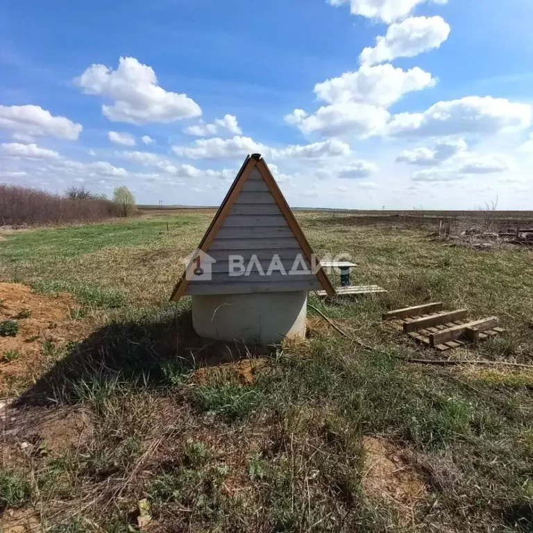 Участок в Владимирская область, Суздальский район, Селецкое ... - Фото 0