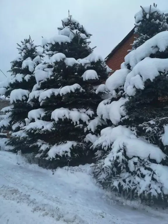 Дом в Московская область, Клин городской округ, с. Андрианково ул. ... - Фото 2