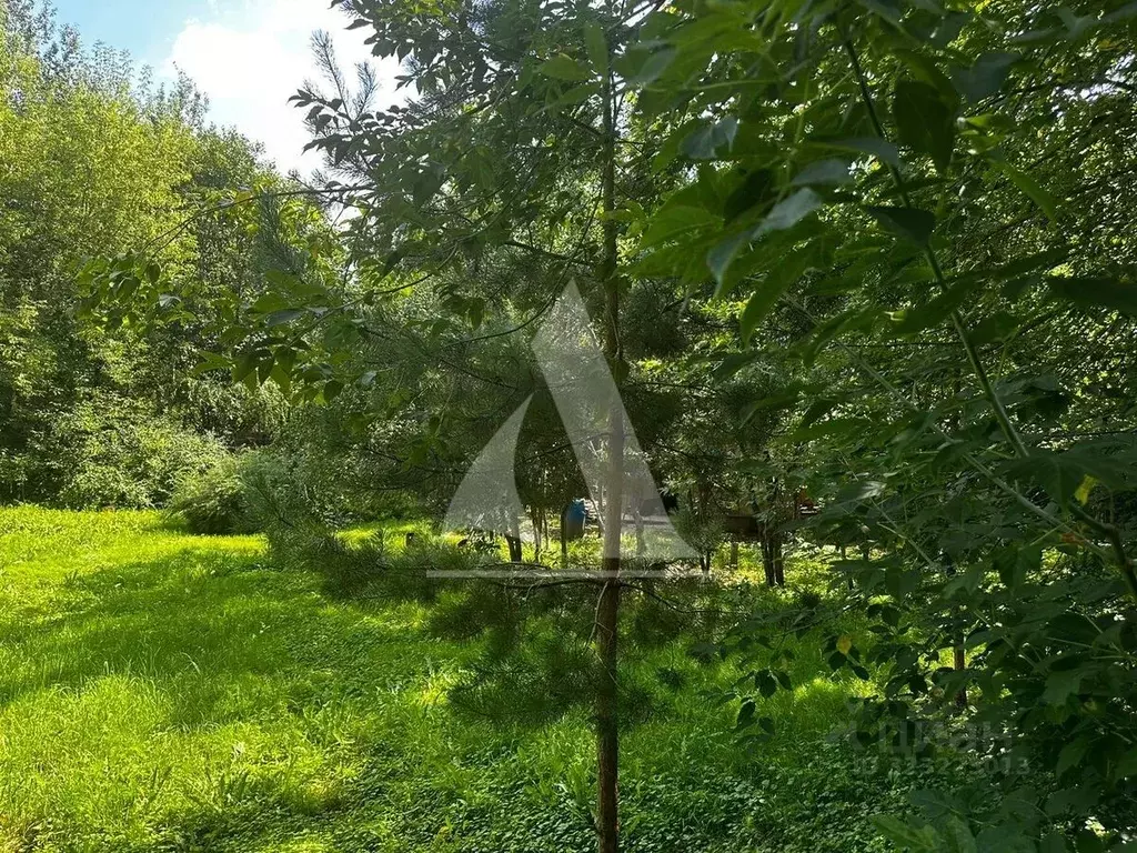 Участок в Московская область, Одинцовский городской округ, д. Калчуга  ... - Фото 2
