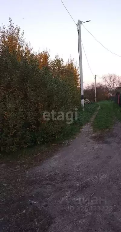 Участок в Калининградская область, Калининград Дельфин СНТ, ул. ... - Фото 2