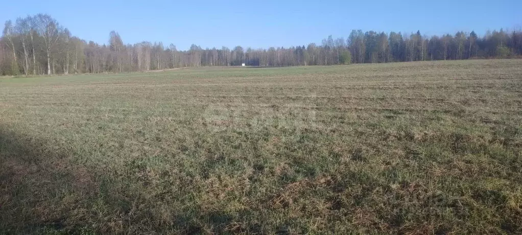 Участок в Вологодская область, Череповецкий район, с. Дмитриевское ... - Фото 2