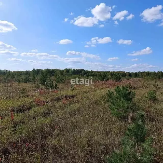 Участок в Тюменская область, Тюменский район, с. Кулига, Кулига-2 мкр  ... - Фото 0