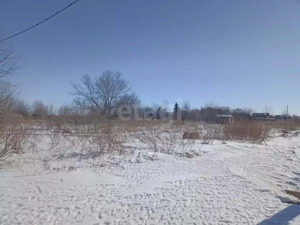 Участок в Амурская область, Благовещенский район, Садовые участки  ... - Фото 1