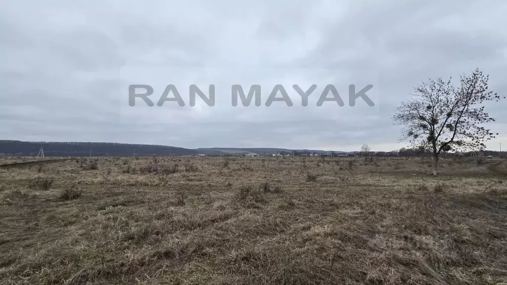 Участок в Адыгея, Майкопский район, Победенское с/пос, Причтовский ... - Фото 2