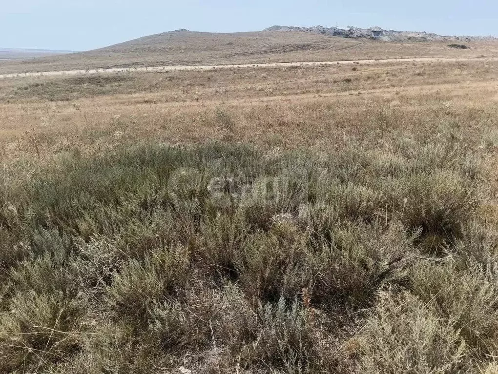 Участок в Крым, Ленинский район, с. Калиновка ул. Абденановой (6.0 ... - Фото 1