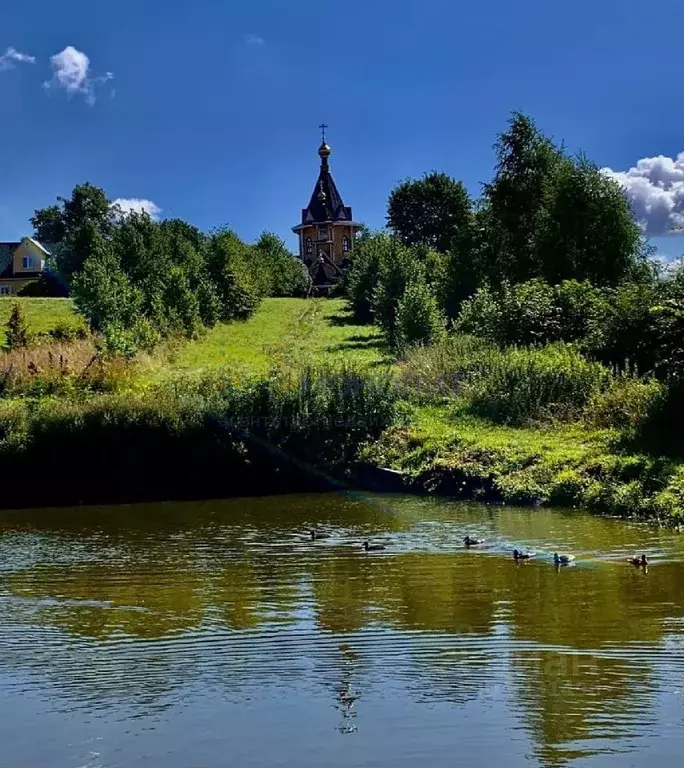 Участок в Нижегородская область, Богородский район, с. Каменки ... - Фото 0