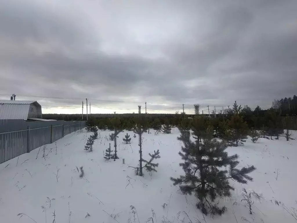 Участок в Свердловская область, Белоярский муниципальный округ ул. ... - Фото 1