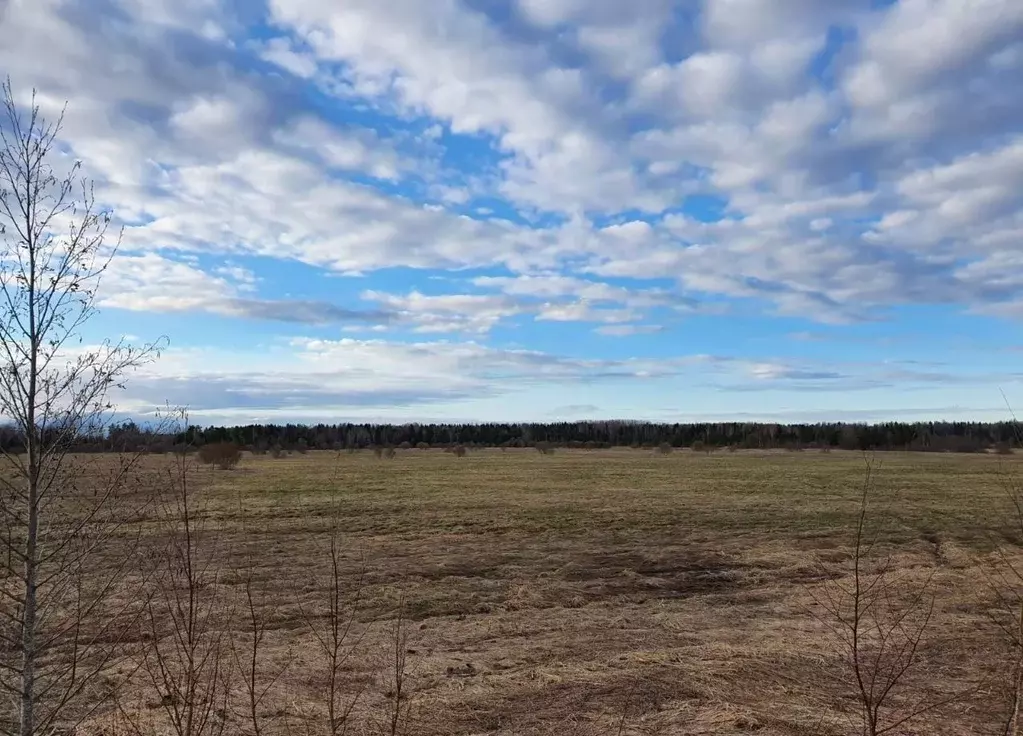 Участок в Ленинградская область, Тосненский район, Любанское городское ... - Фото 1