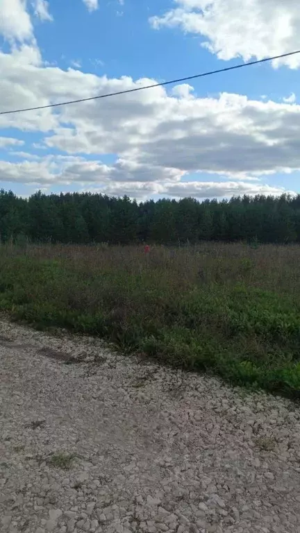 Участок в Кировская область, Киров городской округ, д. Олинцы ул. ... - Фото 2