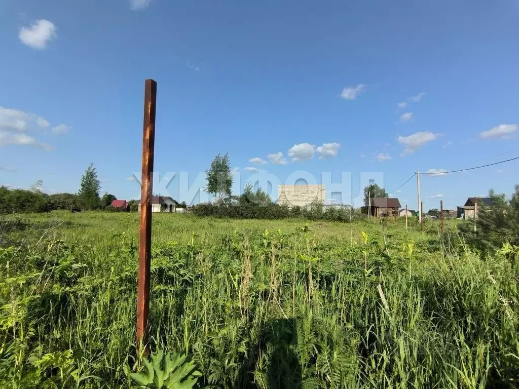 Участок в Новосибирская область, Коченевский район, Озерное ДНТ ул. ... - Фото 1