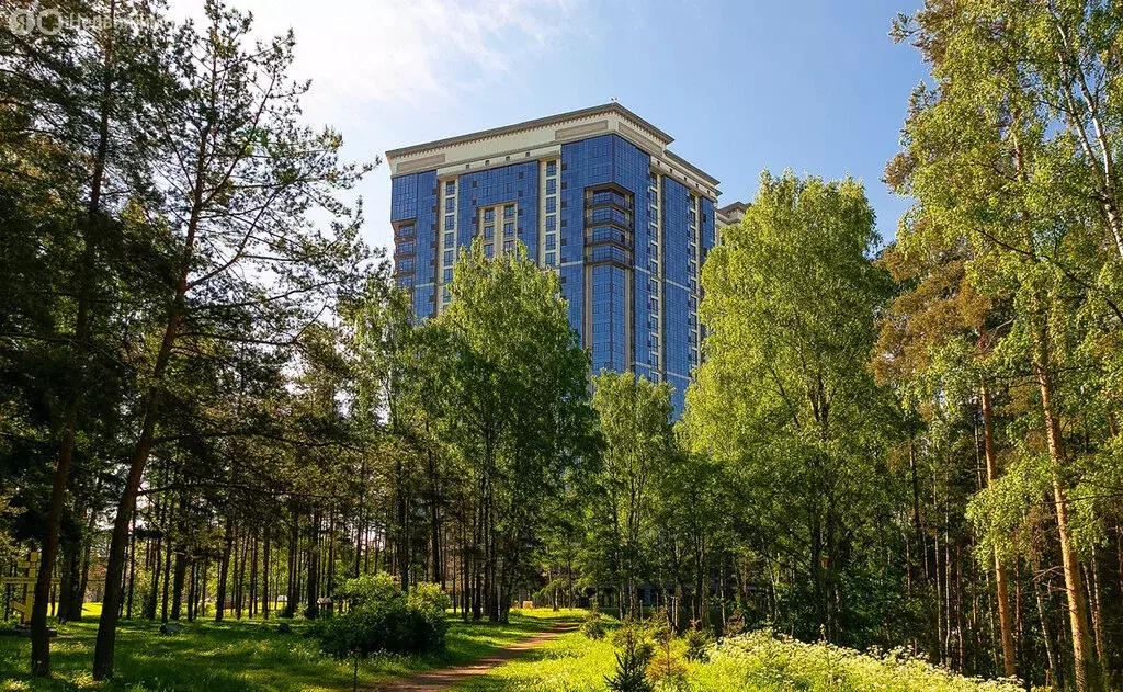 2-комнатная квартира: Санкт-Петербург, проспект Тореза, 118 (70 м) - Фото 1