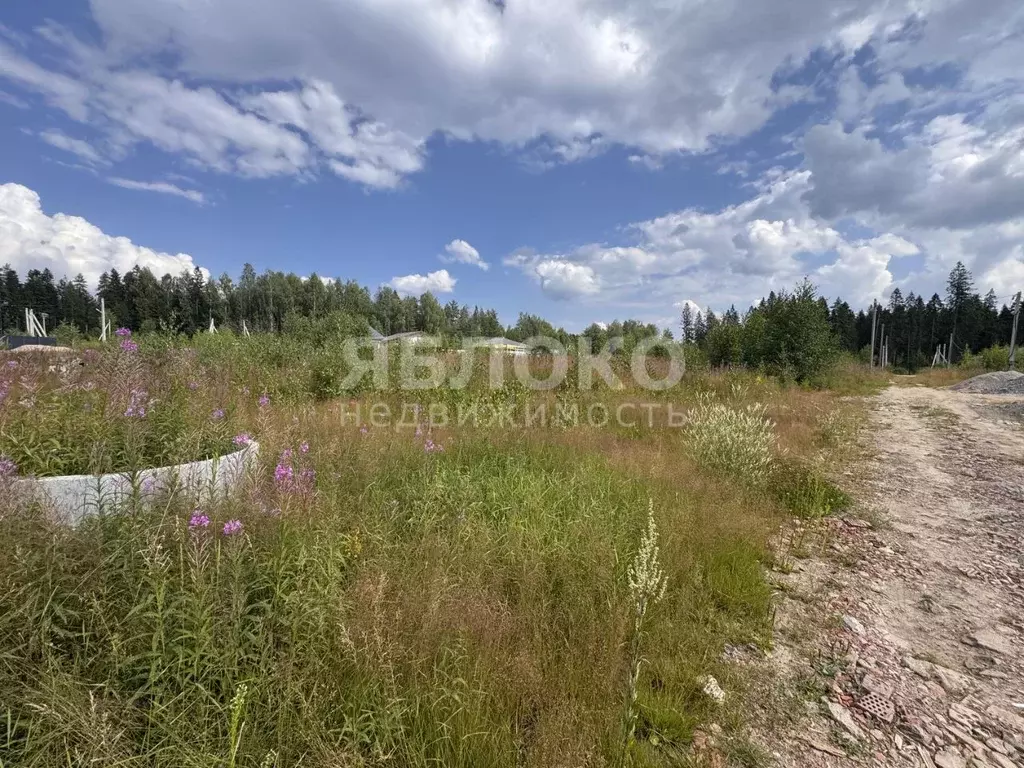 Участок в Пермский край, Березники муниципальный округ, пос. Николаев ... - Фото 2