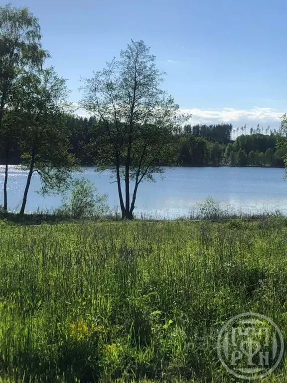 Участок в Ленинградская область, Выборгский район, Каменногорское ... - Фото 1