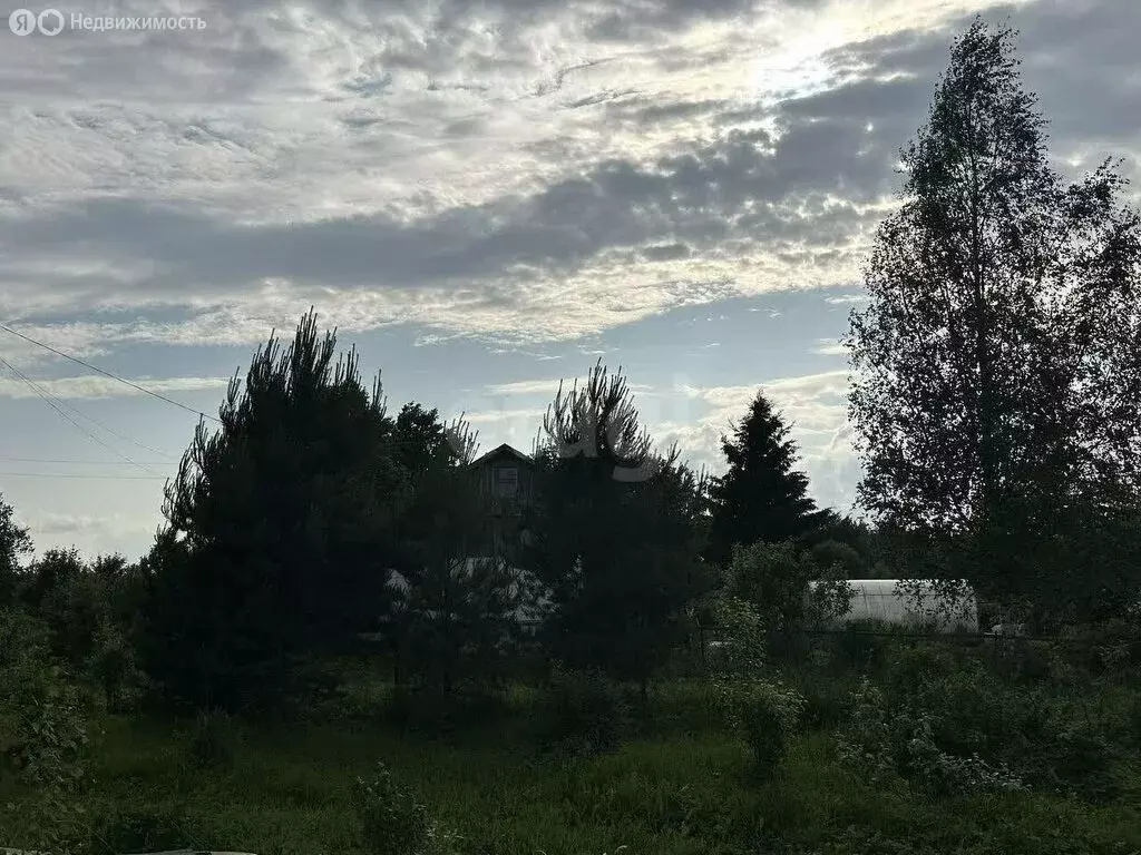 Участок в Ярославская область, Рыбинский муниципальный округ, деревня ... - Фото 2