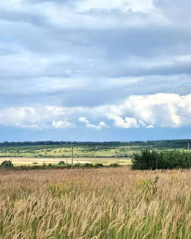 Участок в Мордовия, с. Лямбирь ул. Имени Братьев Артемьевых (9.5 сот.) - Фото 2