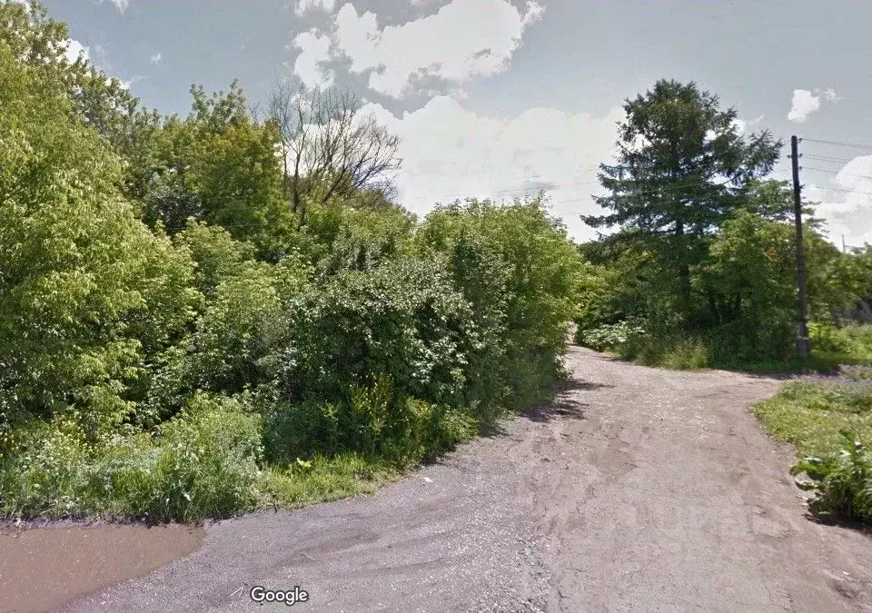 Участок в Кировская область, Котельнич ул. Земцы (30.0 сот.) - Фото 2