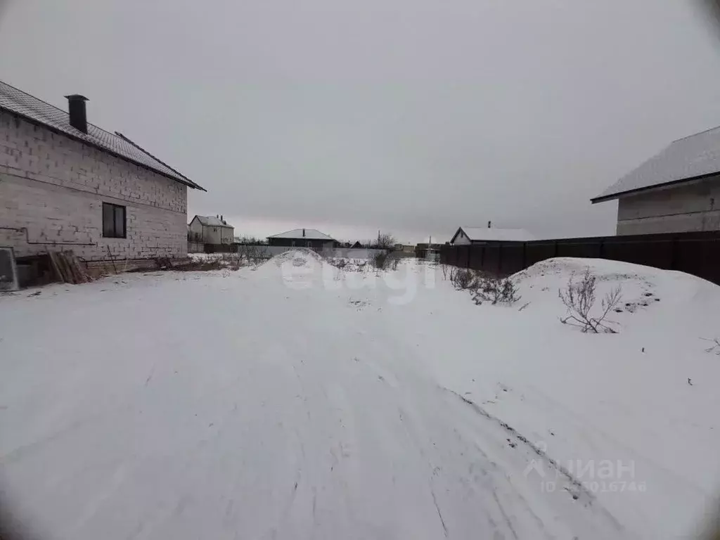 Участок в Воронежская область, Новоусманский район, с. Бабяково ... - Фото 1