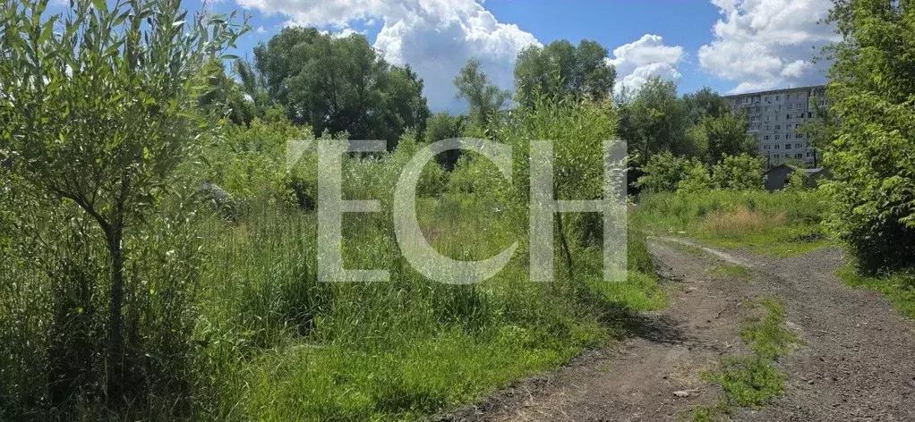 Участок в Тульская область, Тула ул. Томпа (15.0 сот.) - Фото 1