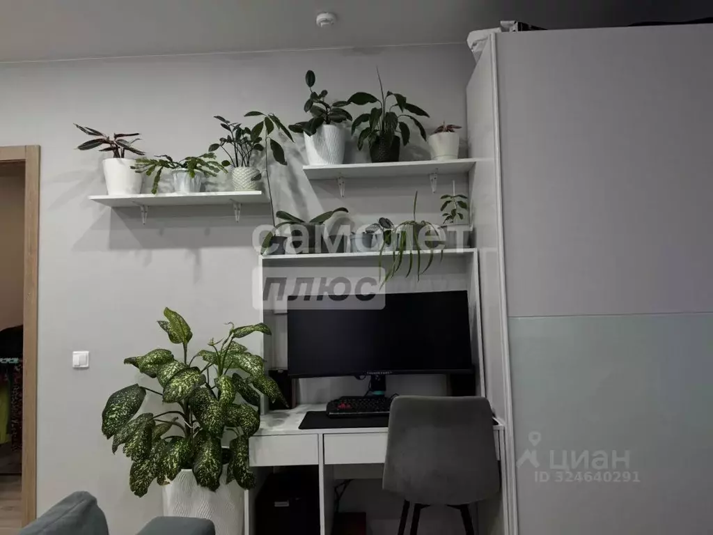 2-к кв. Воронежская область, Рамонский район, Яменское с/пос, Ветряк ... - Фото 2