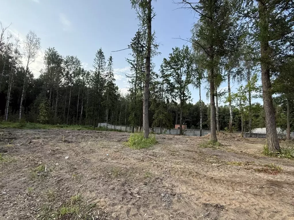 Участок в Санкт-Петербург пос. Лисий Нос, Раздельная тер.,  (21.43 ... - Фото 1