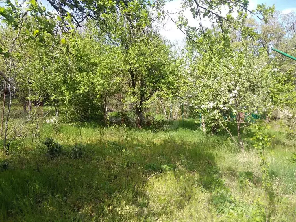 Участок в Краснодарский край, Геленджик городской округ, Широкая Щель ... - Фото 1