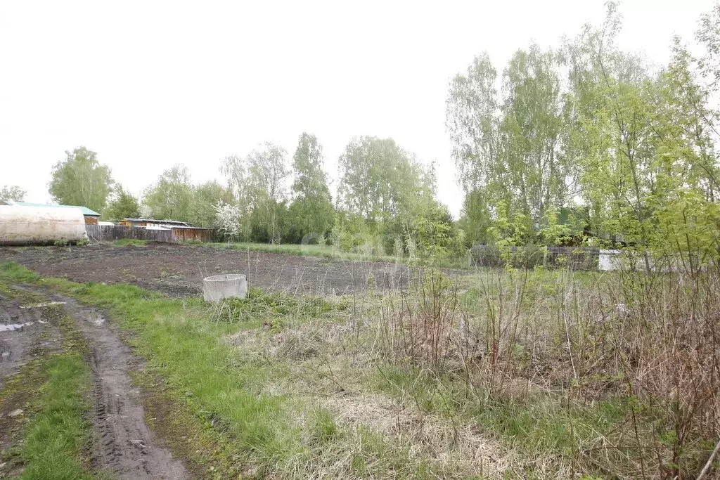 Участок в Заводоуковск, Совхозный переулок (27.9 м) - Фото 2