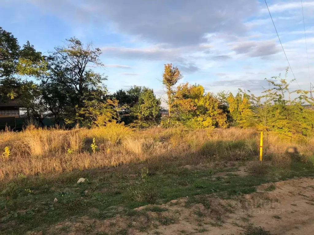 Участок в Ростовская область, Аксайский район, Большелогское с/пос, ... - Фото 1