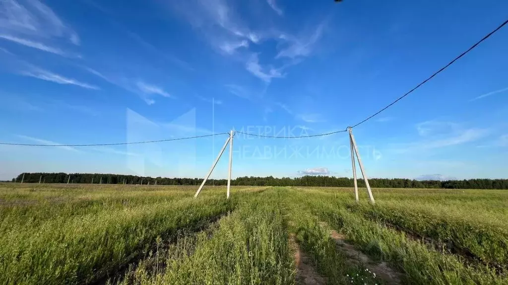 Участок в Тюменская область, Тюменский район, с. Кулаково  (7.0 сот.) - Фото 0